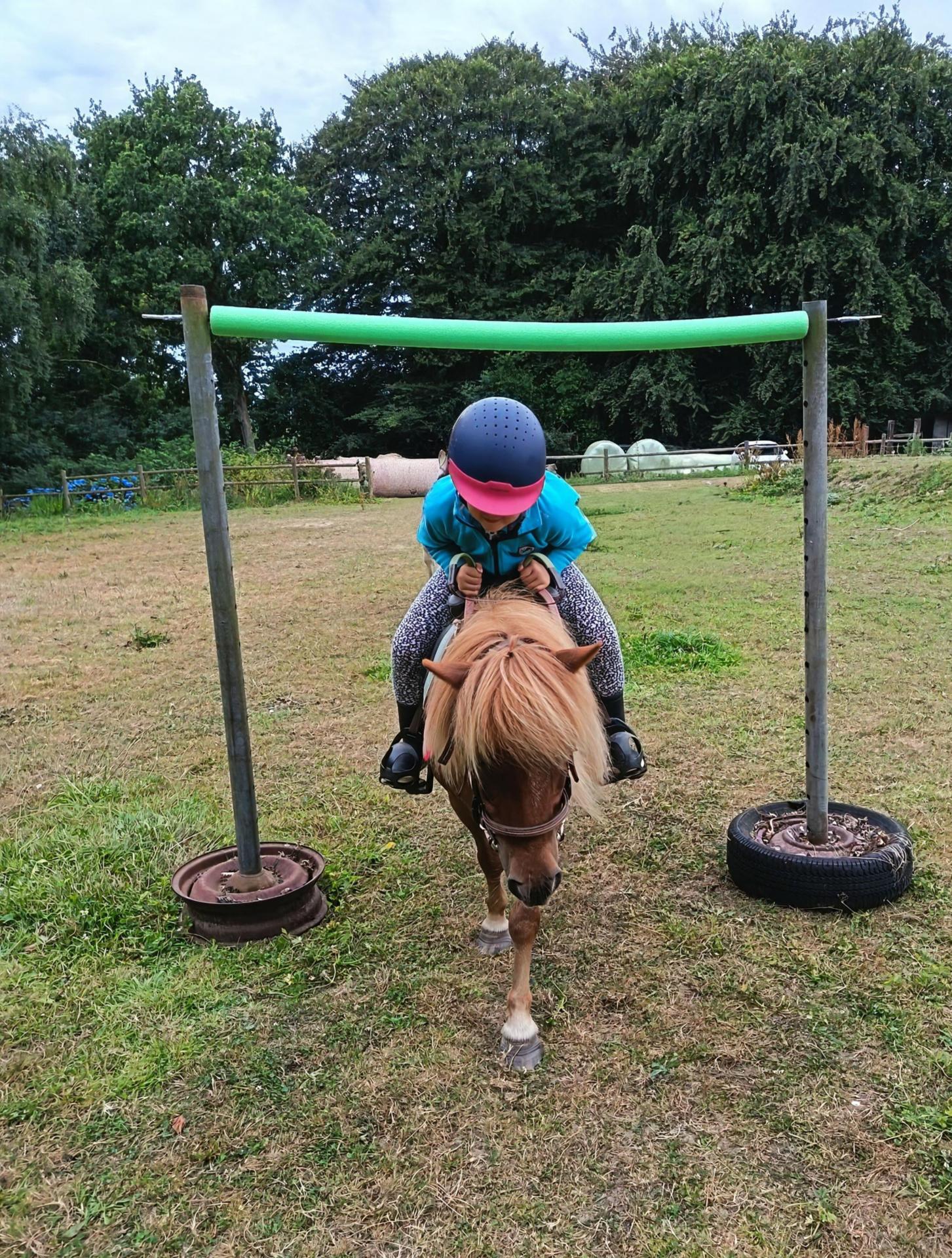 Activité poney 1